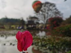 -中国科学院西双版纳热带植物园