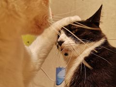 -红叶蛋糕(广达路总店)