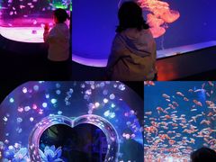 -海合安成都极地海洋公园