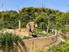 -宁波野生动物园