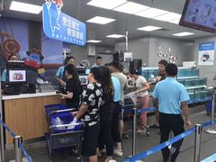 -盒马鲜生(大成店)