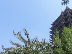 -眉山湿地公园(东坡区)