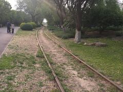 -永定河休闲森林公园