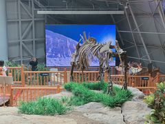 -中国第四纪冰川遗迹陈列馆