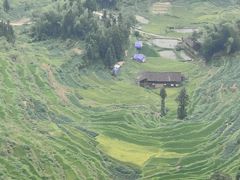 -紫鹊界梯田景区