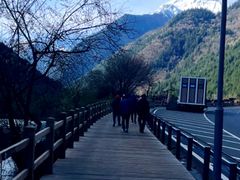 -九寨沟-树正沟