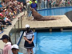 -北戴河圣蓝海洋公园