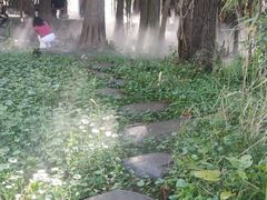 -东湖落雁景区