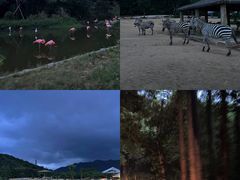 -杭州野生动物世界