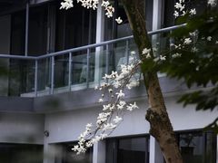 -杭州植物园