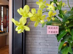 -黄但记老店·陈村粉食府