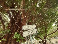 -大澳
