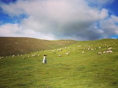 -青海湖国家重点风景名胜区