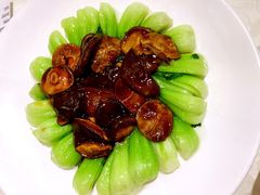 -阿英煲(凉城路店)