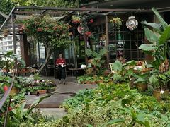-听香·678茶铺(猛追湾店)