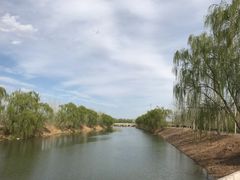 -东郊湿地公园