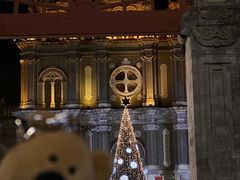 -王府井天主教堂