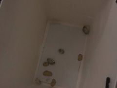 -如家酒店(北京国展三元桥店)