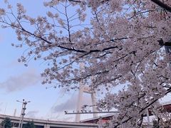 -上海南浦大桥长途旅游客运站