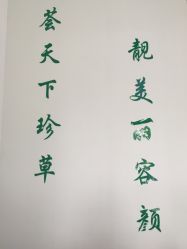 -荟草堂痘肌修护中心