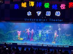 -泉城欧乐堡海洋极地世界