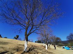 -食乐佳麻辣香锅(森林摩尔商业街区店)