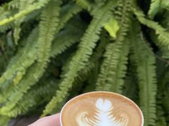 -Peet's Coffee皮爷咖啡(大学路店)