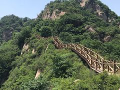 -大岭沟猕猴桃谷风景区