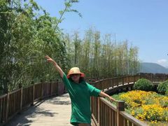 -曲江薰衣草庄园