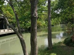 -盆景园(扬州大运河文化旅游度假区)