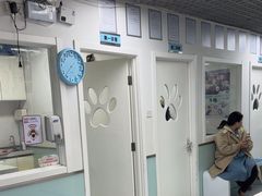 -达爱动物医院·犬猫分区·CT·复杂眼科(远洋山水分院)