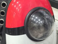 -瑞派宠物医院·犬猫全科·猫友好(宾水西道店)