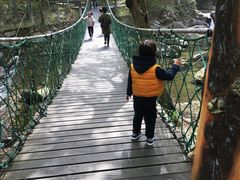 -宁波五龙潭景区