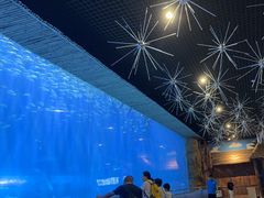 -西安华夏文旅水世界