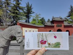 -洛阳白马寺