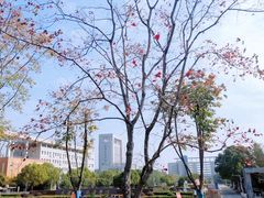 -武汉交通职业学院