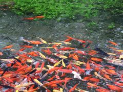 -水磨沟公园