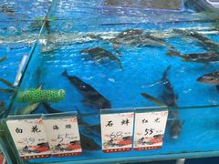 水产区-庭苑美食中心·陈皮烧鹅·海鲜(台山店)