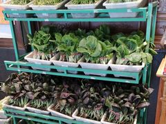 -天和晟烤鸭店(玉泉西街店)