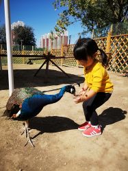 -萌宠亲子动物乐园(槐房万达店)