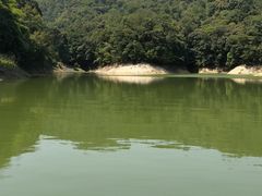 -广州市流溪河国家森林公园