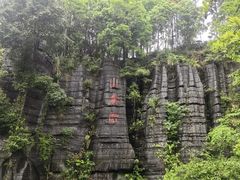 -梭布垭石林景区