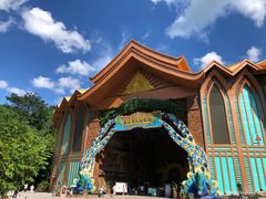 -西双版纳原始森林公园