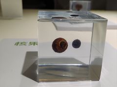 -中国湿地博物馆