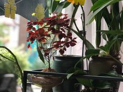 -街角 T·COFFEE 融合料理·BISTRO(车公庙店)