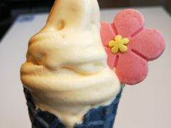 -麦当劳(东苑丽宝商业广场店)