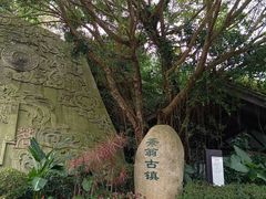 -东部华侨城