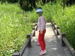 -韦哲乐高机器人·等级考试·少儿编程(羽山路校区)