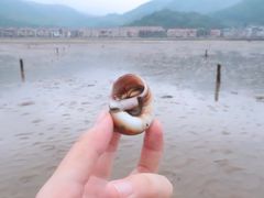 -小皓村