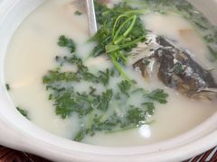 -紫藤园·天目湖大鱼头(南山竹海店)